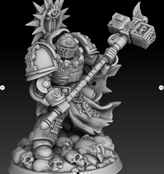 Silver Wardens Captain of the Brothers