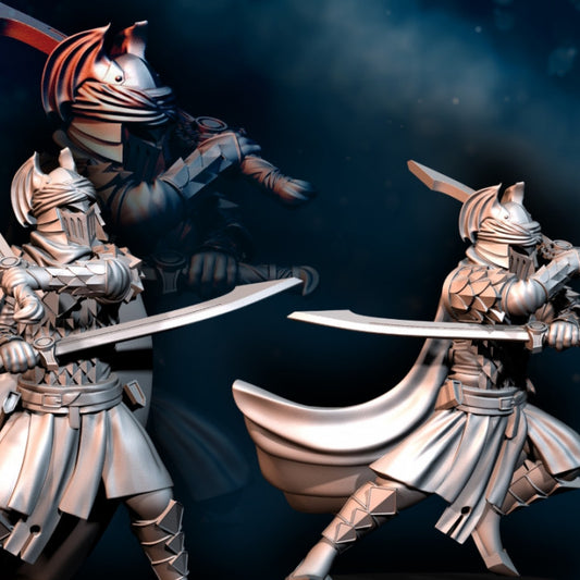 Dragon Army Royal Guards