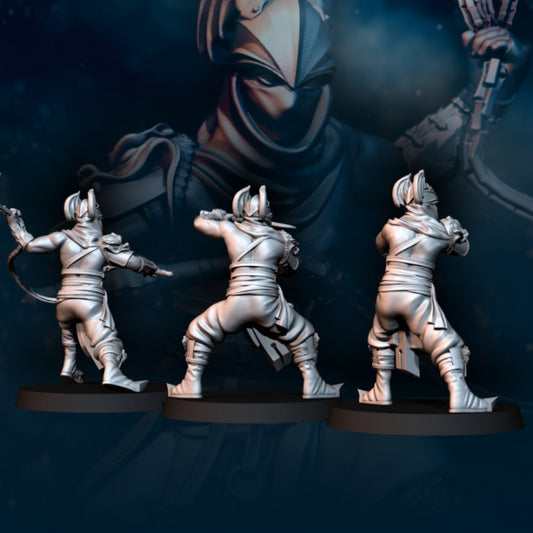 Dragon Army Assassins