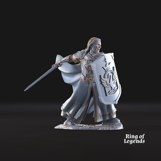 Amhërel The Prince of the Swan Knights