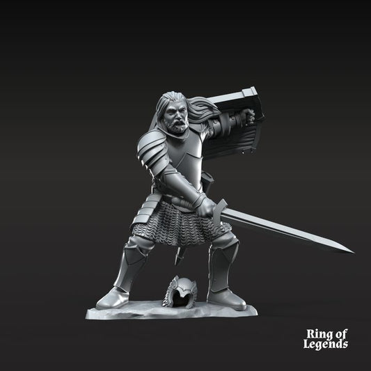 Grey Castle Captain #2