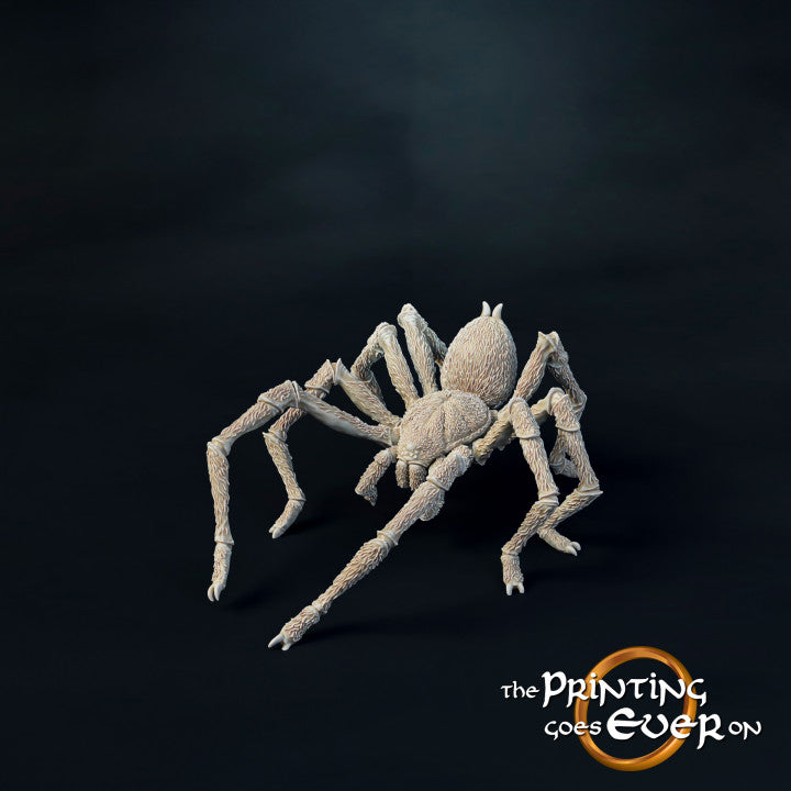 Giant Spiders