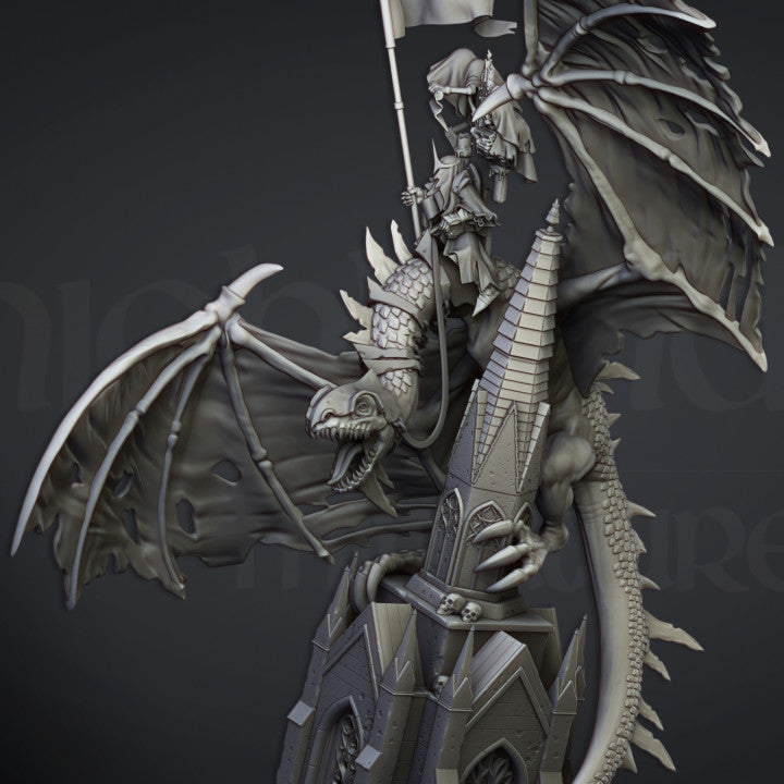 Ezekiel, Lord Necromancer on Flying Monster