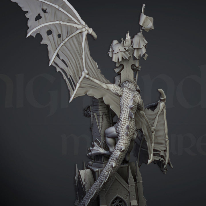 Ezekiel, Lord Necromancer on Flying Monster
