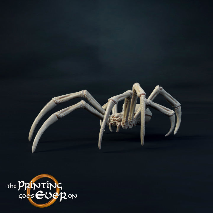 Giant Spiders