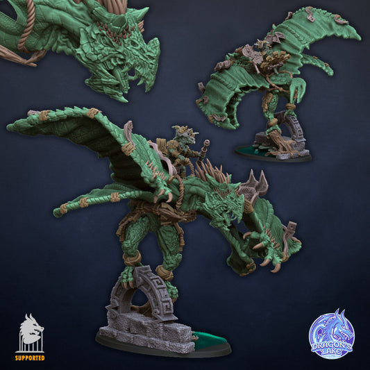 Skink Veteran on Tirano