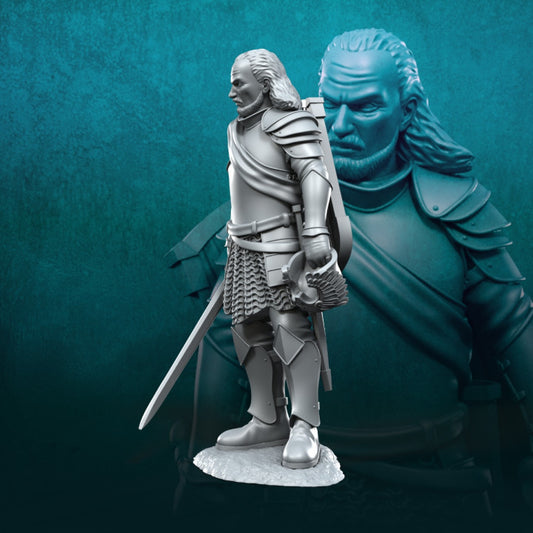 Veteran Grey Castle Captain