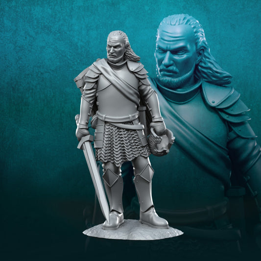 Veteran Grey Castle Captain