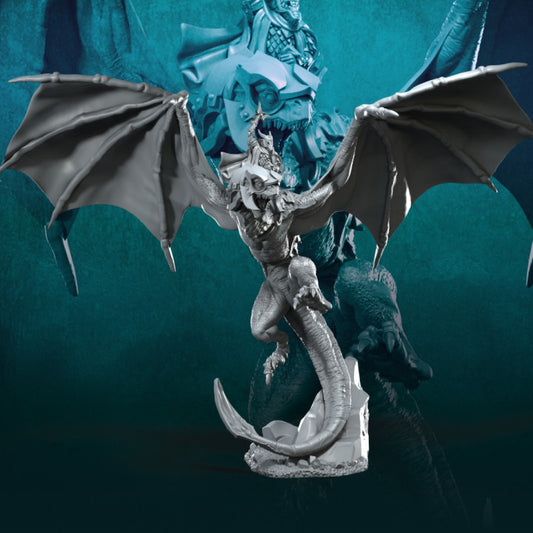 Wyvern with Dark Mage