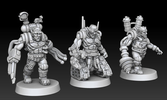 Silver Wardens Lobotomized Battlefield Servants
