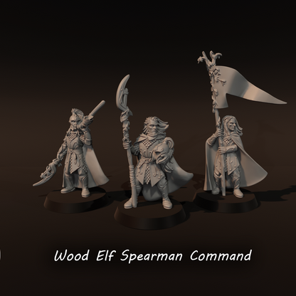 Wood Elf Spearmen Command