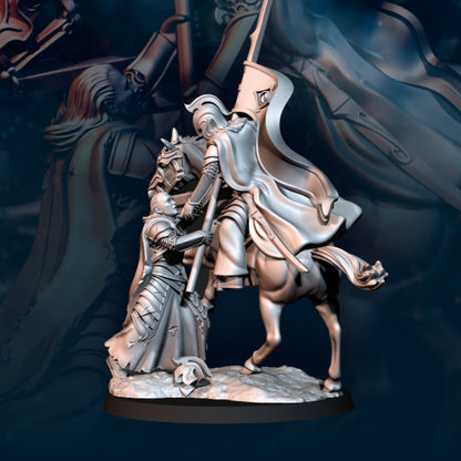 Bloody Elf Commanders