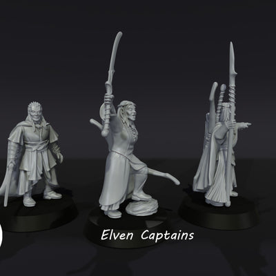 Elven Captains