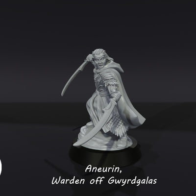 Aneurin, Warden off Gwyrdgalas