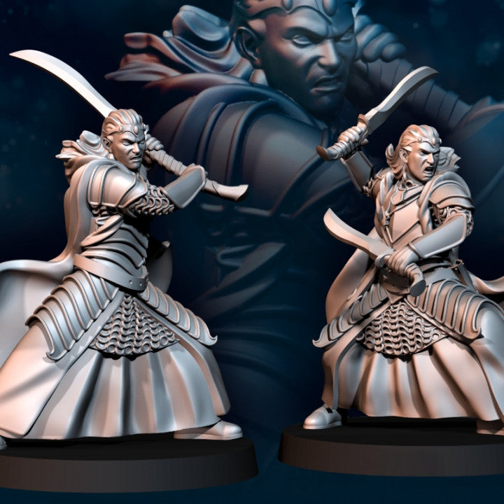 Bloody Elf Brothers
