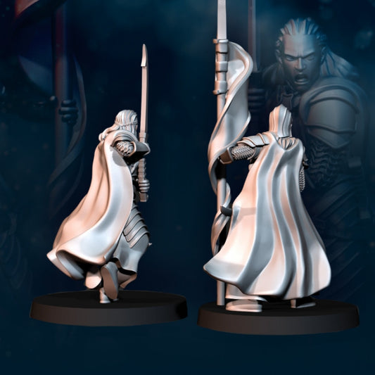 Bloody Elf Commanders