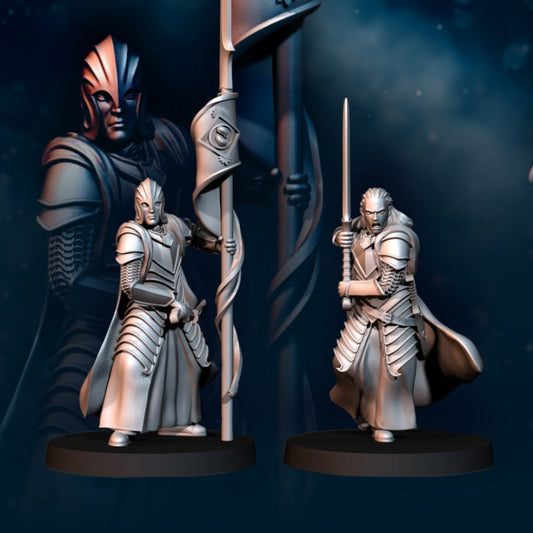 Bloody Elf Commanders