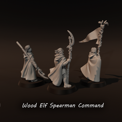 Wood Elf Spearmen Command