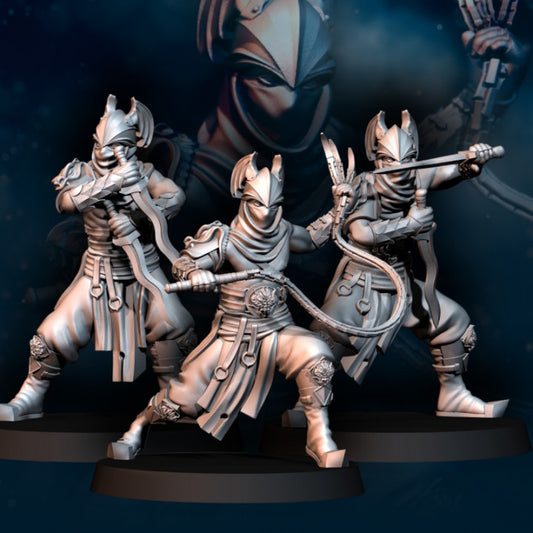 Dragon Army Assassins