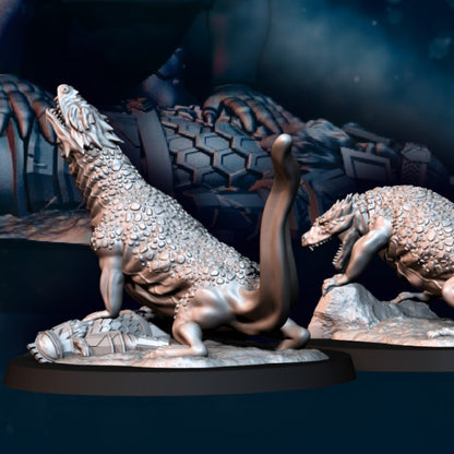 Dragon Army Drakes