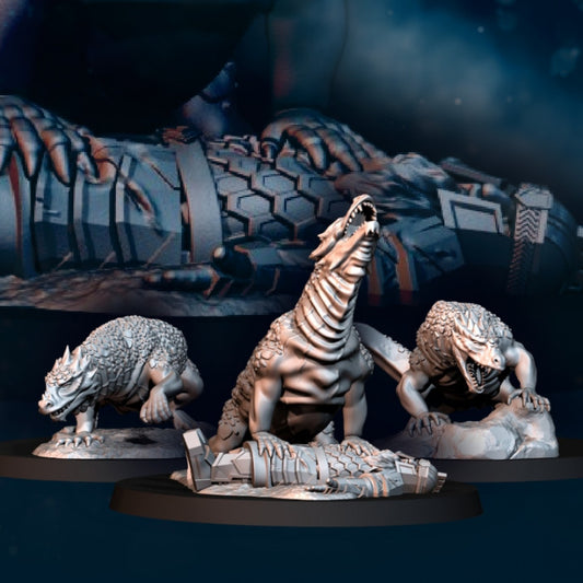 Dragon Army Drakes