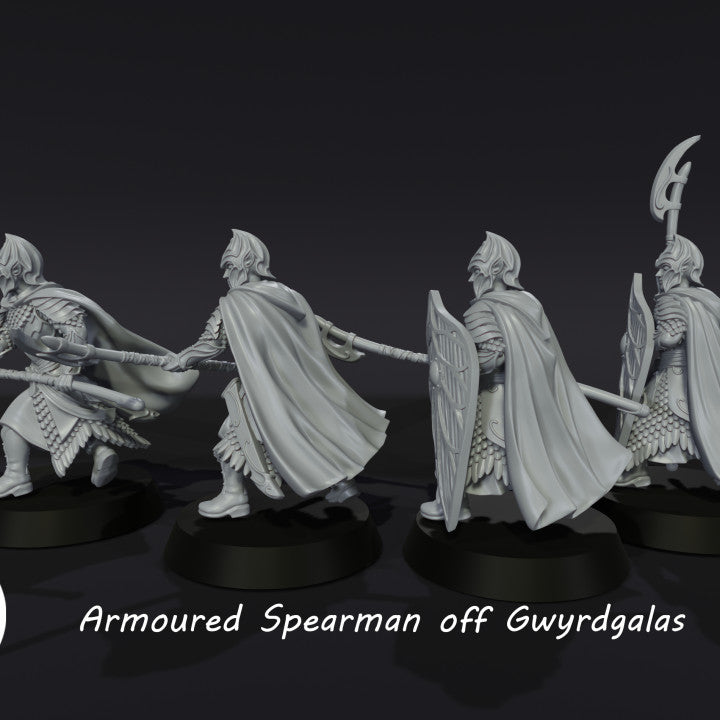 Armoured Spearman Of Gwyrdgalas