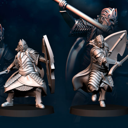 Bloody Elf King Guard