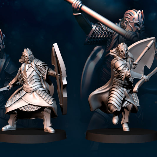 Bloody Elf King Guard