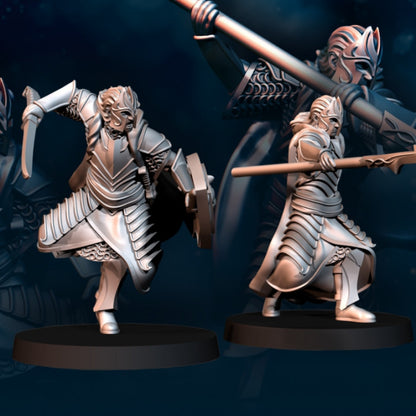 Bloody Elf King Guard