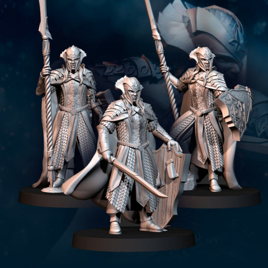 Wood Elf King Guard