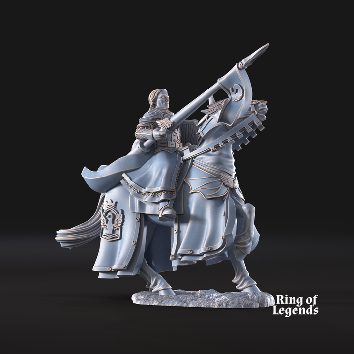 Amhërel The Prince of the Swan Knights
