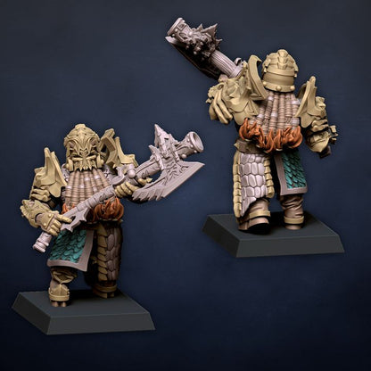 Citadel Guard