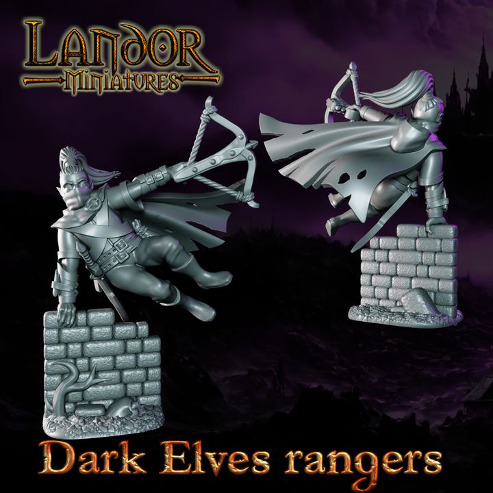 Dark Elves Rangers