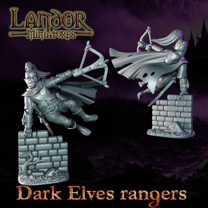 Dark Elves Rangers