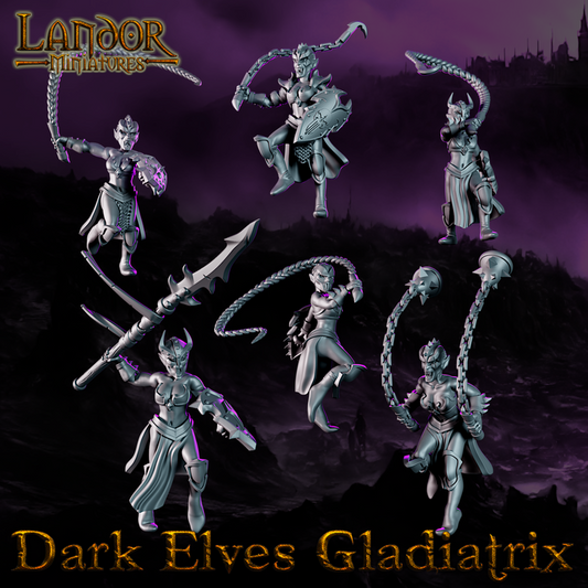 Dark elves Gladiatrix