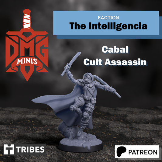 Intelligencia Cabal Assassin