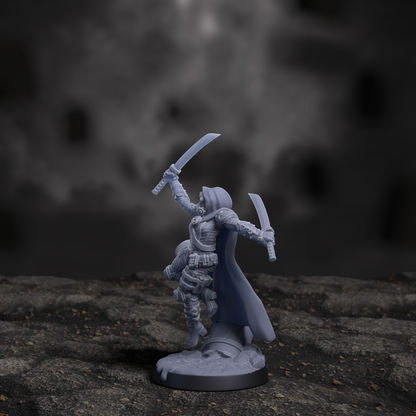 Intelligencia Cabal Assassin