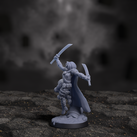 Intelligencia Cabal Assassin