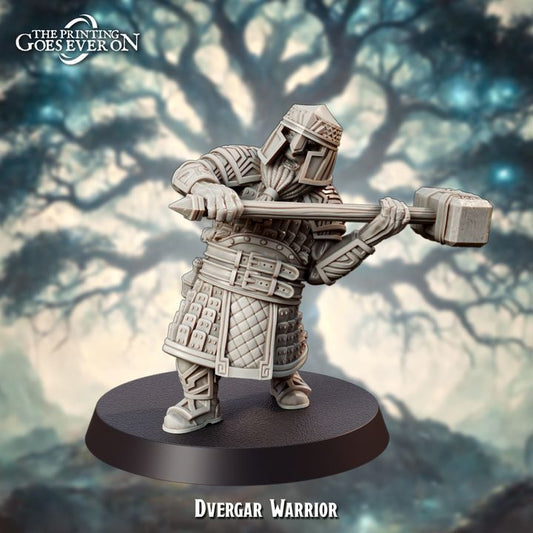 Dvergar Warrior