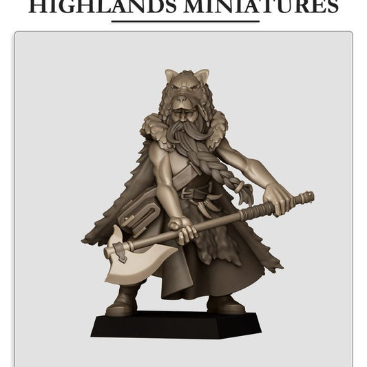 Mergenheim Druid