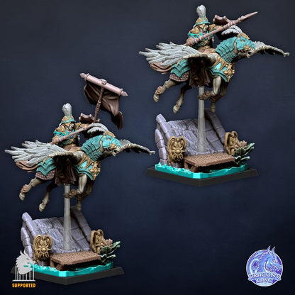Marshal on Pegasus