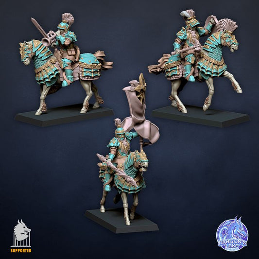The Knightly Order