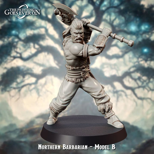 Norse Barbarians