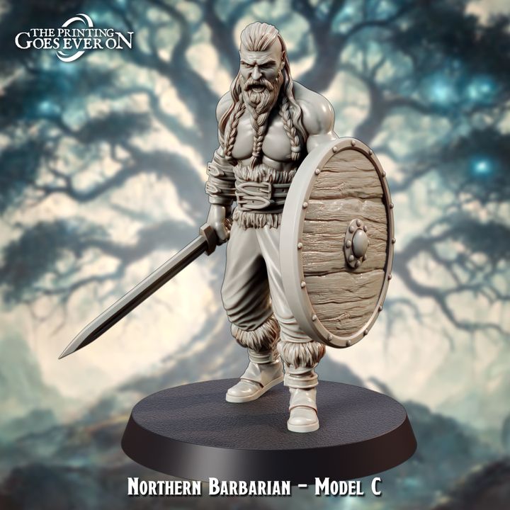 Norse Barbarians