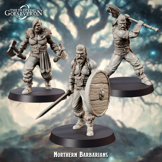 Norse Barbarians