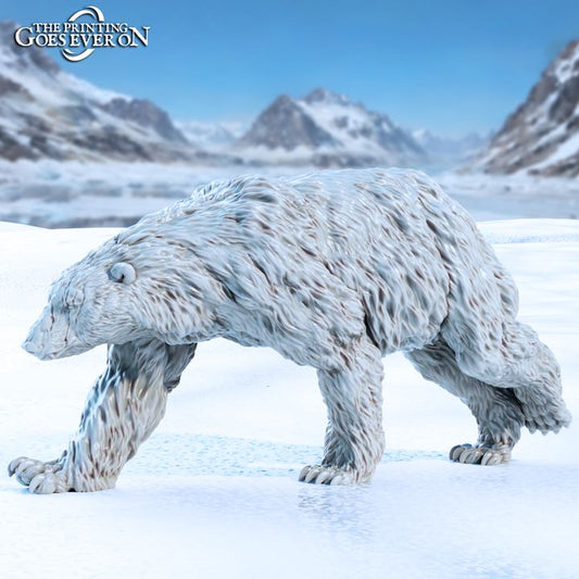 Polar Bears