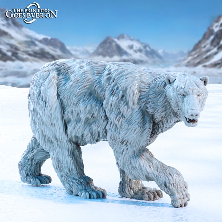 Polar Bears