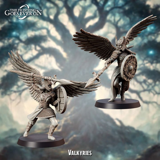 Norse Valkyries