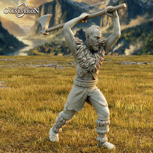 Viking Berserkers