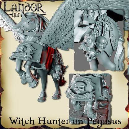 Witch Hunter on Pegasus